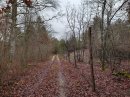 Forêt deTonnerre